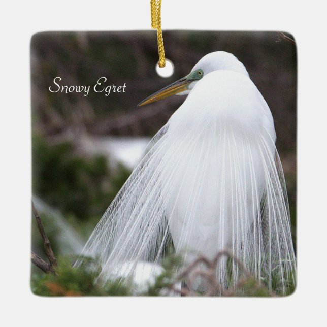 Cerâmica Ornamento de Pássaros Snowy Egret (Frente)