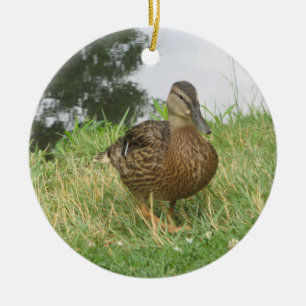 Cerâmica Ornamento de Pato de Mallard fêmea