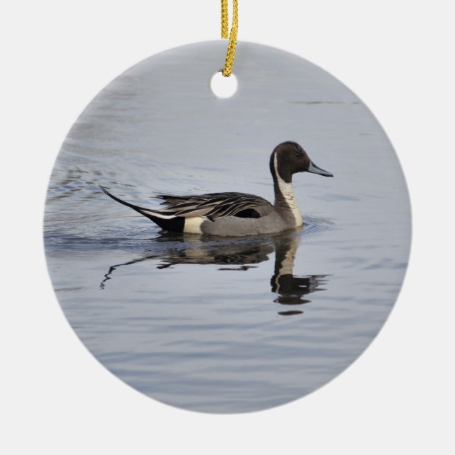 Cerâmica Ornamento de Pato de Pintail (Frente)