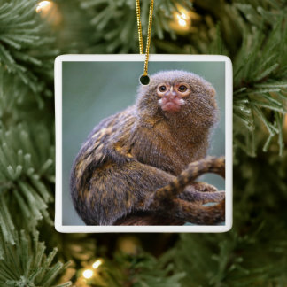 Cerâmica Ornamento de Pigmeus Marmoset