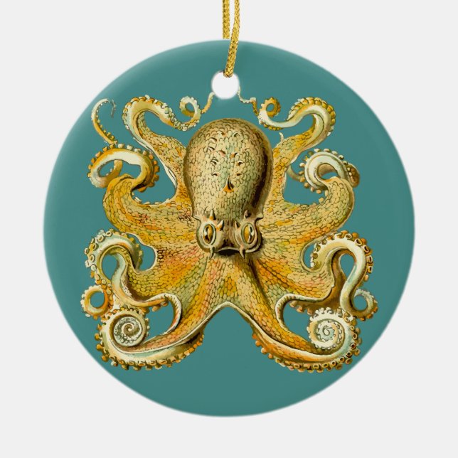 Cerâmica ornamento de polvo (Frente)