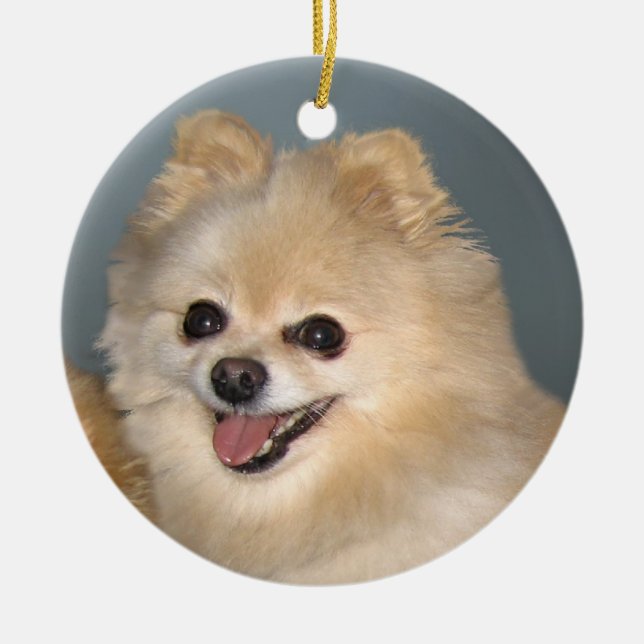 Cerâmica Ornamento de Pomeranian (Frente)