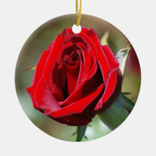 Cerâmica Ornamento de rosa vermelha