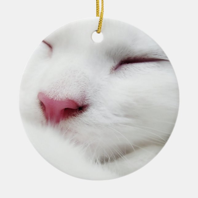 Cerâmica Ornamento De Rosto De Gato Branco (Frente)