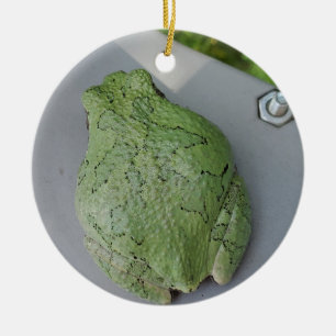 Cerâmica Ornamento de sapo de árvore