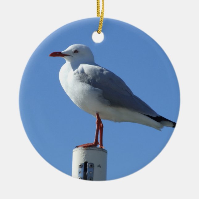 Cerâmica Ornamento de Seagull (Frente)
