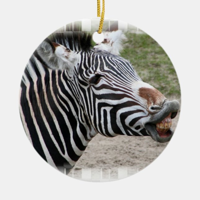 Cerâmica Ornamento de sorriso da zebra (Frente)