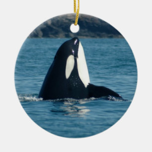 Cerâmica Ornamento de Spyhop