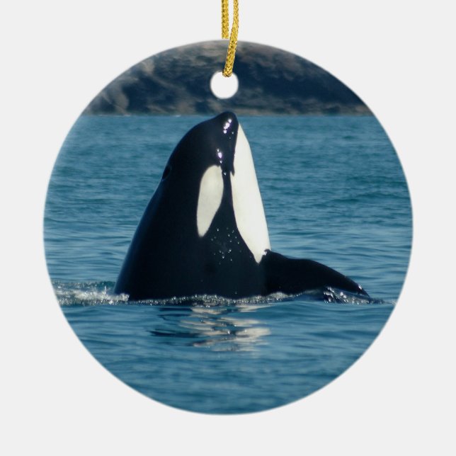 Cerâmica Ornamento de Spyhop (Frente)