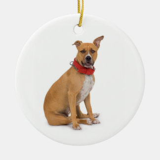 Cerâmica Ornamento de Staffordshire Terrier americano