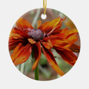 Cerâmica Ornamento de Susan Flor de Olhos Negros Laranja