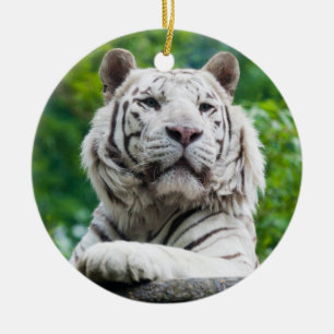 Cerâmica Ornamento de Tigre Branco
