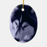 Ornamento de Tom Azul Siberiano Husky