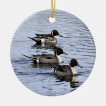 Ornamento de Trio de Pato Pintail