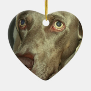 Cerâmica Ornamento de Weimaraner do amor