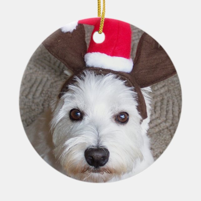 Cerâmica Ornamento de Westie (Frente)