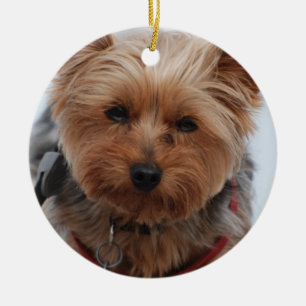 Cerâmica Ornamento de Yorkie