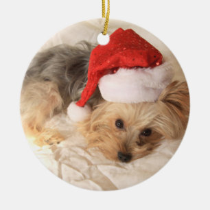 Cerâmica Ornamento de Yorkie do papai noel