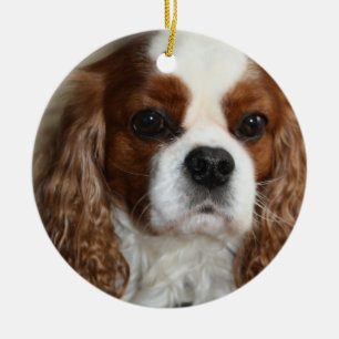 Cerâmica Ornamento descuidado do Spaniel de rei Charles