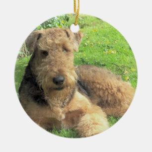 Cerâmica Ornamento do cão de Airedale Terrier