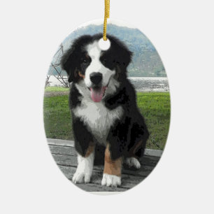 Cerâmica Ornamento do cão de montanha de Bernese
