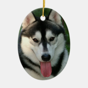 Cerâmica Ornamento do cão de trenó