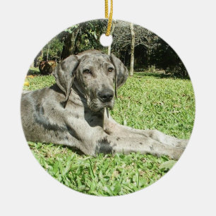 Cerâmica Ornamento do filhote de cachorro de great dane
