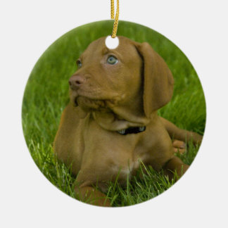 Cerâmica Ornamento do filhote de cachorro de Vizsla