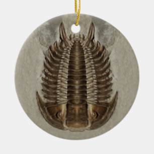 Cerâmica Ornamento do fóssil de Trilobite