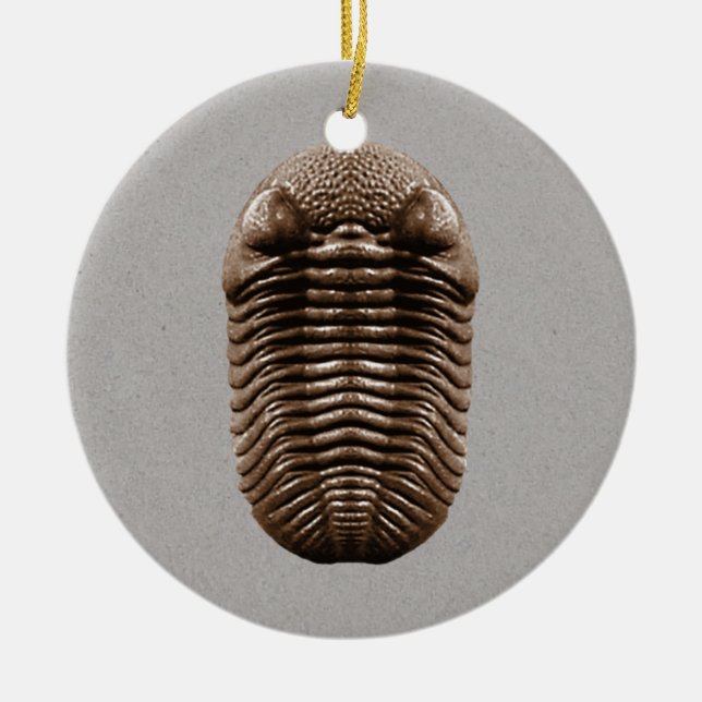Cerâmica Ornamento do fóssil de Trilobite (Frente)