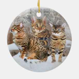 Cerâmica Ornamento do gato de Bengal