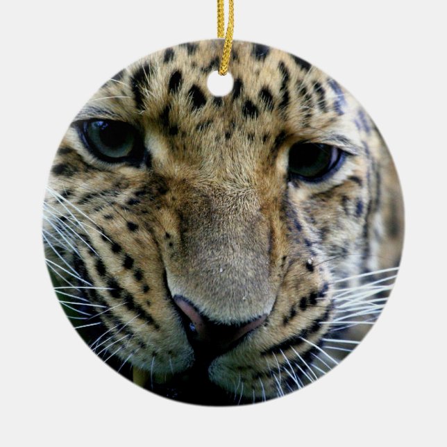Cerâmica Ornamento do leopardo de Amur (Frente)