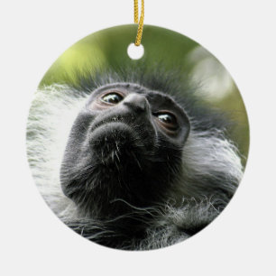 Cerâmica Ornamento do macaco de Colobus de Rwanda