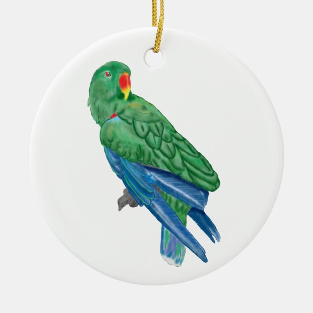 Cerâmica Ornamento do papagaio de Eclectus (Frente)