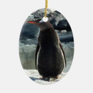 Cerâmica Ornamento do pinguim de Gentoo