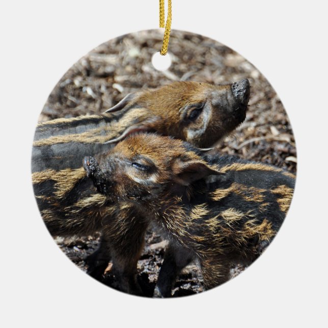 Cerâmica Ornamento do porco de Red River (Frente)