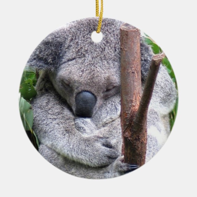 Cerâmica Ornamento do urso de Koala (Frente)
