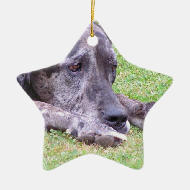 Cerâmica Ornamento doce de great dane (Frente)