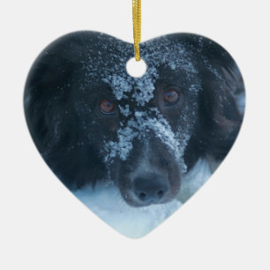 Cerâmica Ornamento enfrentado nevado do cão de border