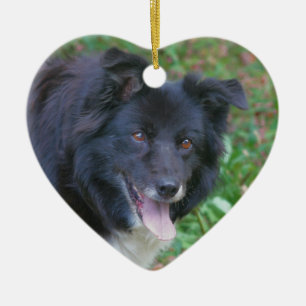 Cerâmica Ornamento feliz do cão de border collie da cara