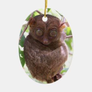 Cerâmica Ornamento filipino de Tarsier
