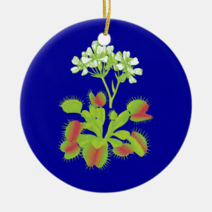 Cerâmica Ornamento floral de Flytraps de Venus