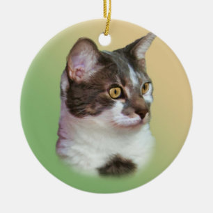 Cerâmica Ornamento inquisidor de olhos brilhantes do gato