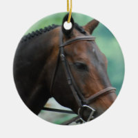 Ornamento lindo do cavalo de Warmblood