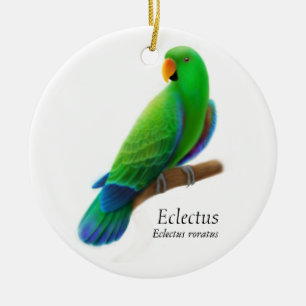 Cerâmica Ornamento masculino do papagaio de Eclectus