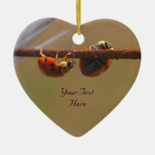 Cerâmica Ornamento Natureza Cuta de Ladybugs Balanceamento