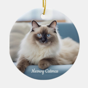 Cerâmica Ornamento Personalizado de Foto Pet