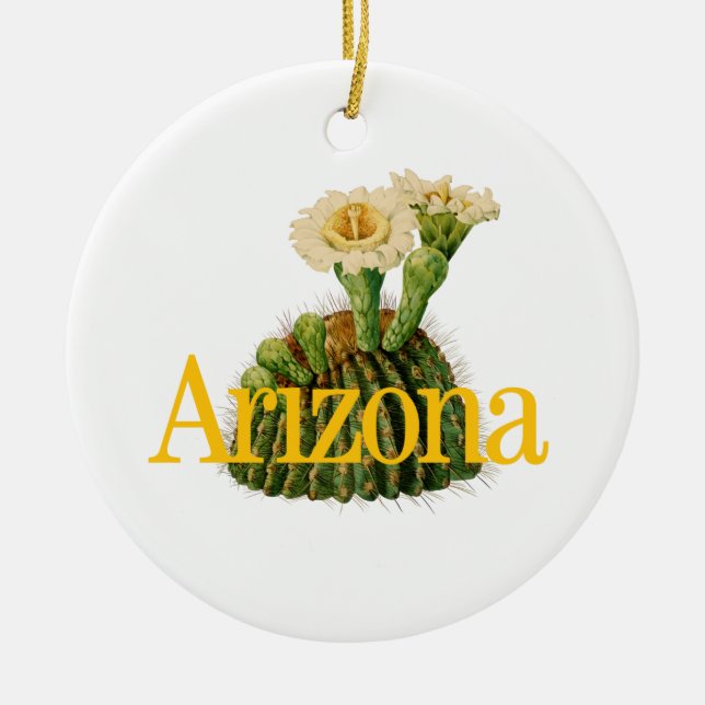 Cerâmica Ornamento personalizável de Arizonas com Saguaro C (Frente)