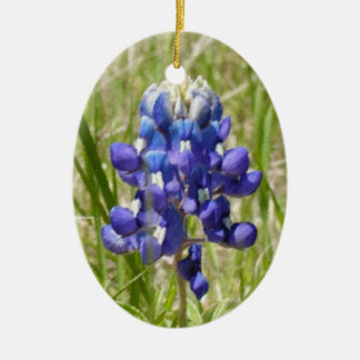Cerâmica Ornamento pintado de Bluebonnet no Texas