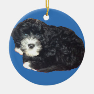 Cerâmica Ornamento português do cão de água